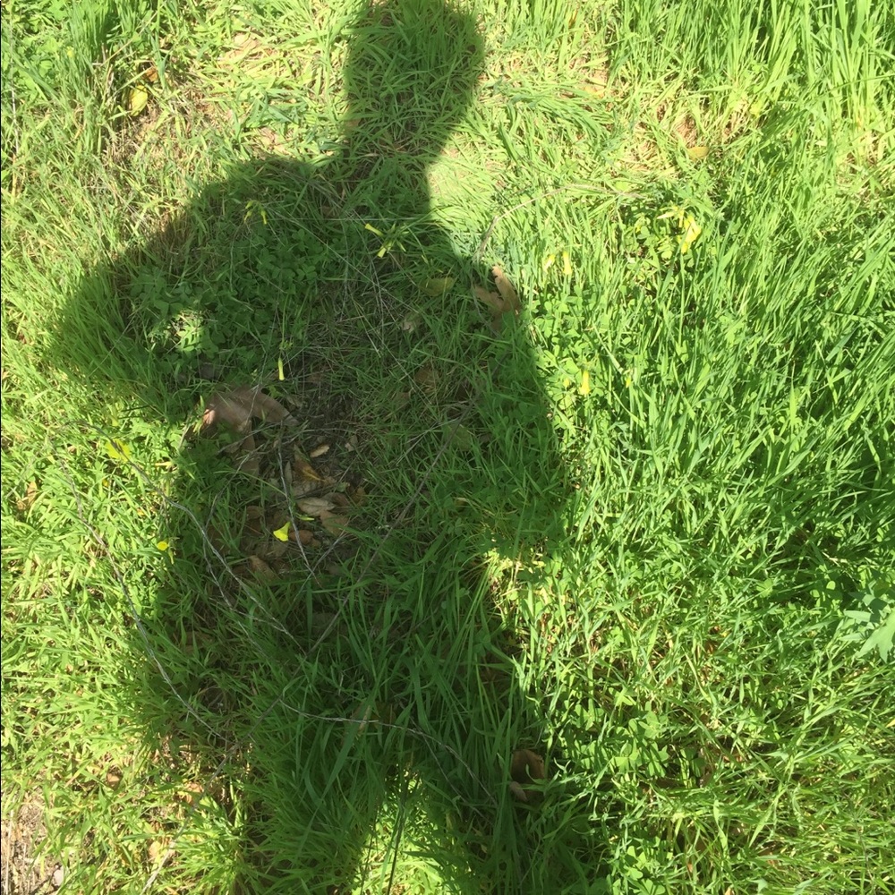 Meet your Posher, Kendall